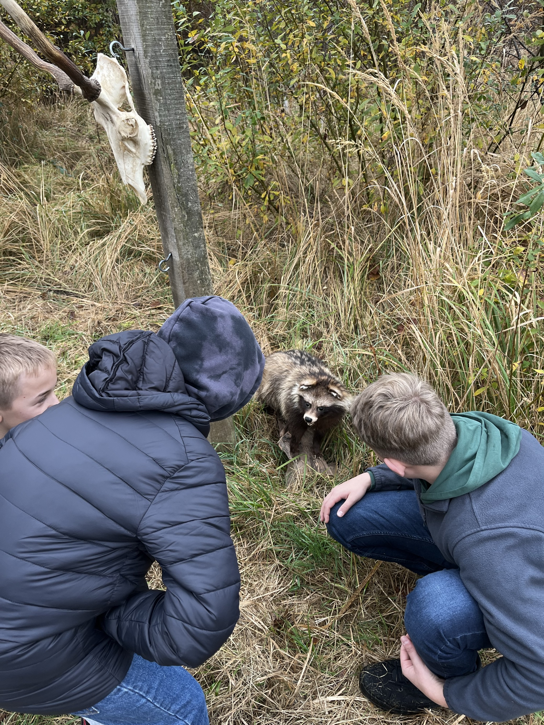 Ein spannender Ausflug in den Schulwald